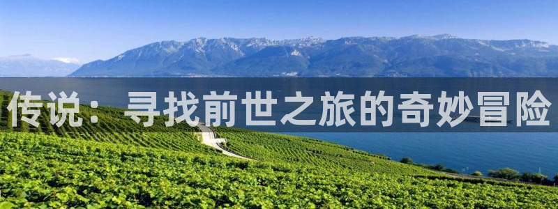 漫画屋官网：传说：寻找前世之旅的奇妙冒险