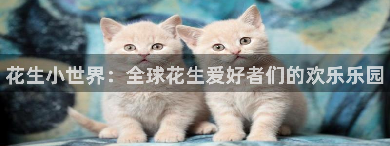 春情漫画屋：花生小世界：全球花生爱好者们的欢乐乐园