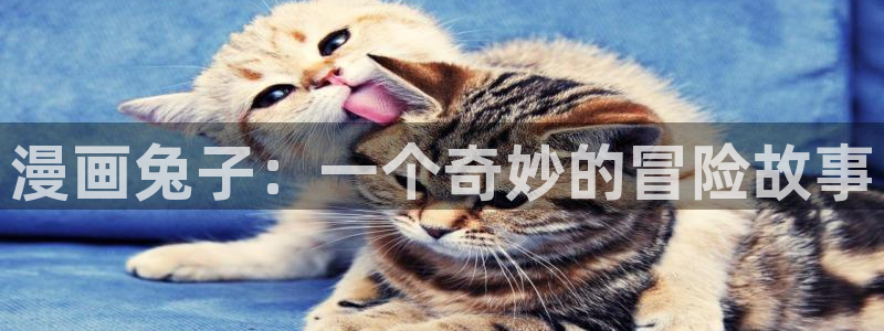 我独自升级漫画免费漫画屋：漫画兔子：一个奇妙的冒险故事